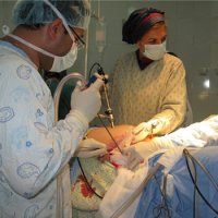 خانم دکتر اکبری حین جراحی لاپاراسکوپی